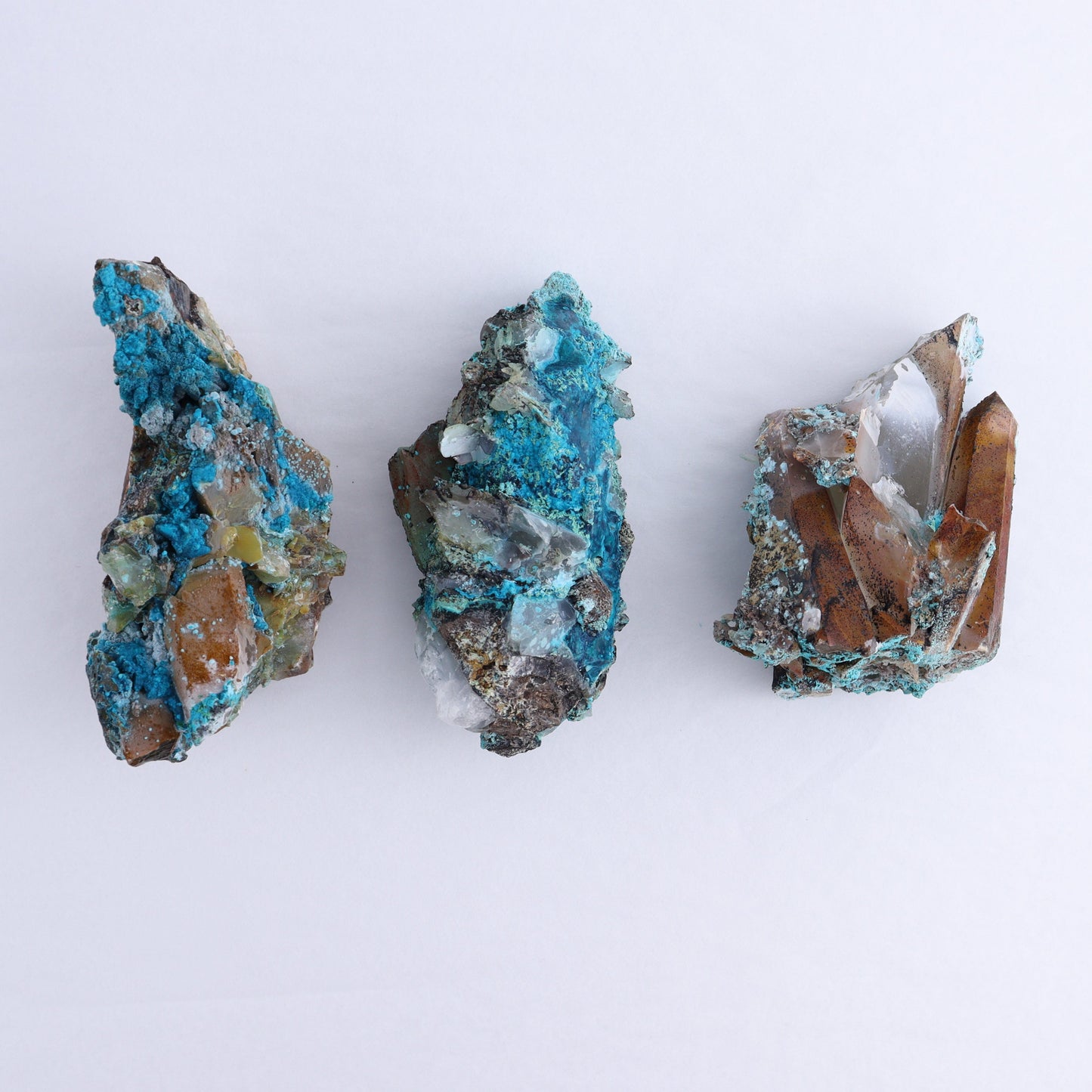 Chrysocolla on Quartz Roughs Set of 12