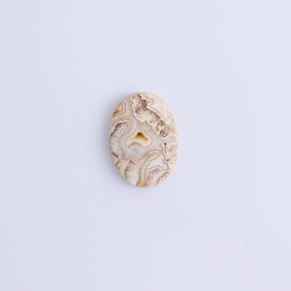 One Crazy Lace Agate Oval Cab - Expert Wholesale and Supplier of Wholesale Crystals & Bulk Gemstones, ["Agate","Cabs","Crazy Lace Agate","Oval"]
