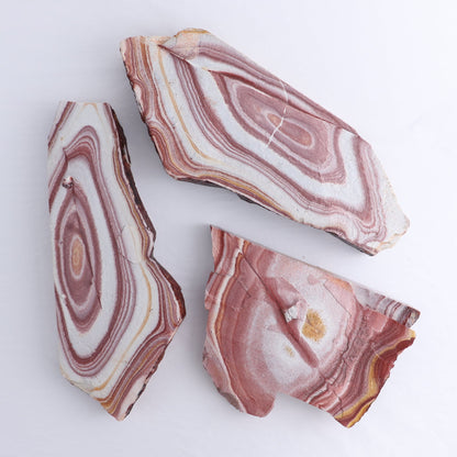 Rhyolite Slabs Set of 3