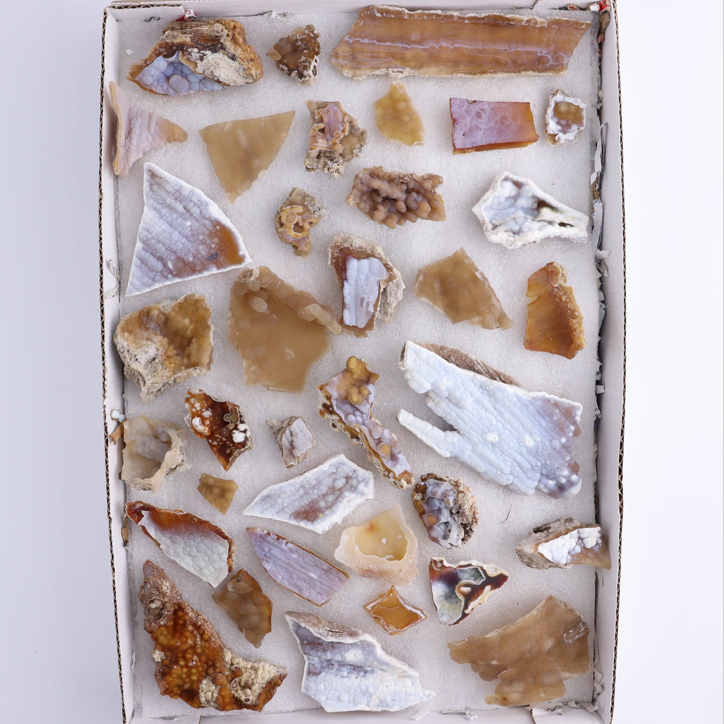 Agatized Coral Flat - Expert Wholesale and Supplier of Wholesale Crystals & Bulk Gemstones, ["Agate","Agatized Coral","Coral","United States"]