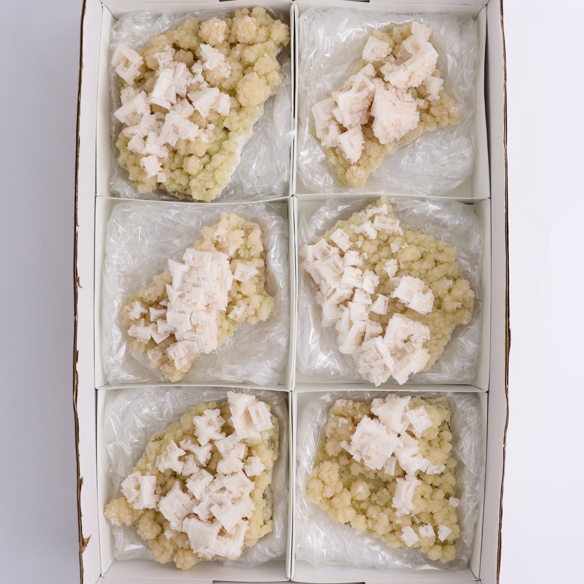 Halite Set of 6 - Expert Wholesale and Supplier of Wholesale Crystals & Bulk Gemstones, ["Halite","halite on trona","United States"]