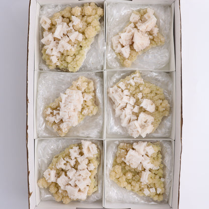 Halite Set of 6 - Expert Wholesale and Supplier of Wholesale Crystals & Bulk Gemstones, ["Halite","halite on trona","United States"]