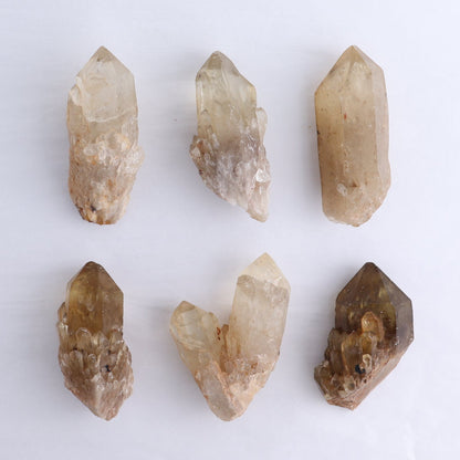 Congo Citrine Set of 6 - wholesale crystals
