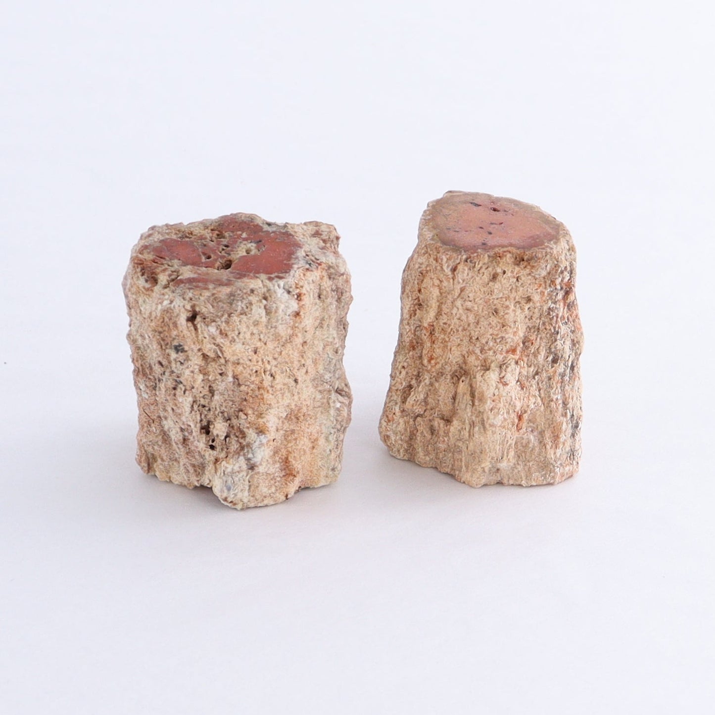 Petrified Wood Cut Bases Set of 10 - Expert Wholesale and Supplier of Wholesale Crystals & Bulk Gemstones, ["Cut Base","Petrified Wood"]