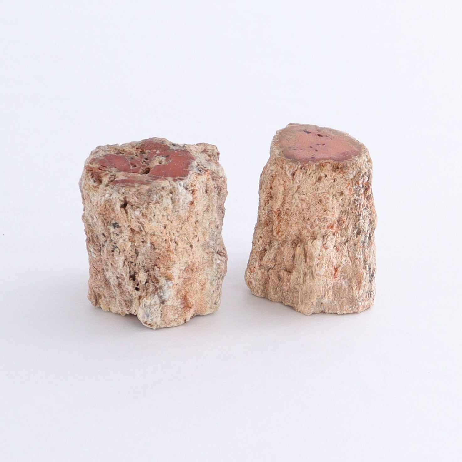 Petrified Wood Cut Bases Set of 10 - Expert Wholesale and Supplier of Wholesale Crystals & Bulk Gemstones, ["Cut Base","Petrified Wood"]