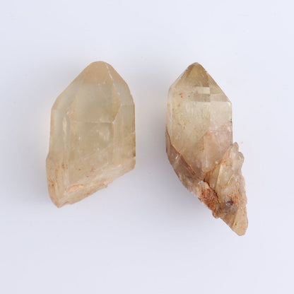 Citrine Roughs Set of 7