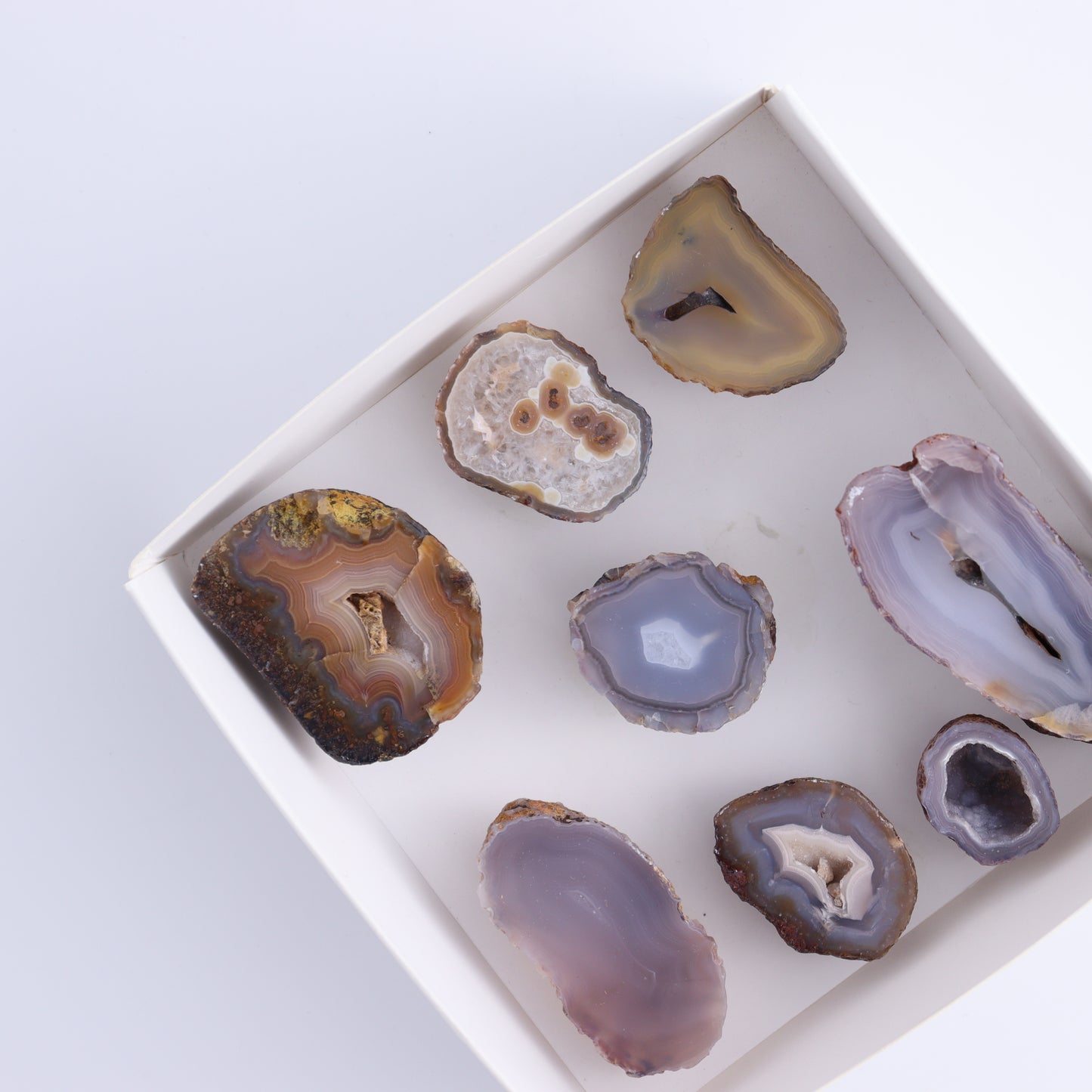 Coyamito Agate Geodes from Mexico Set of 8 - Expert Wholesale and Supplier of Wholesale Crystals & Bulk Gemstones, ["Agate","Coyamito Agate","Geodes","Mexico"]