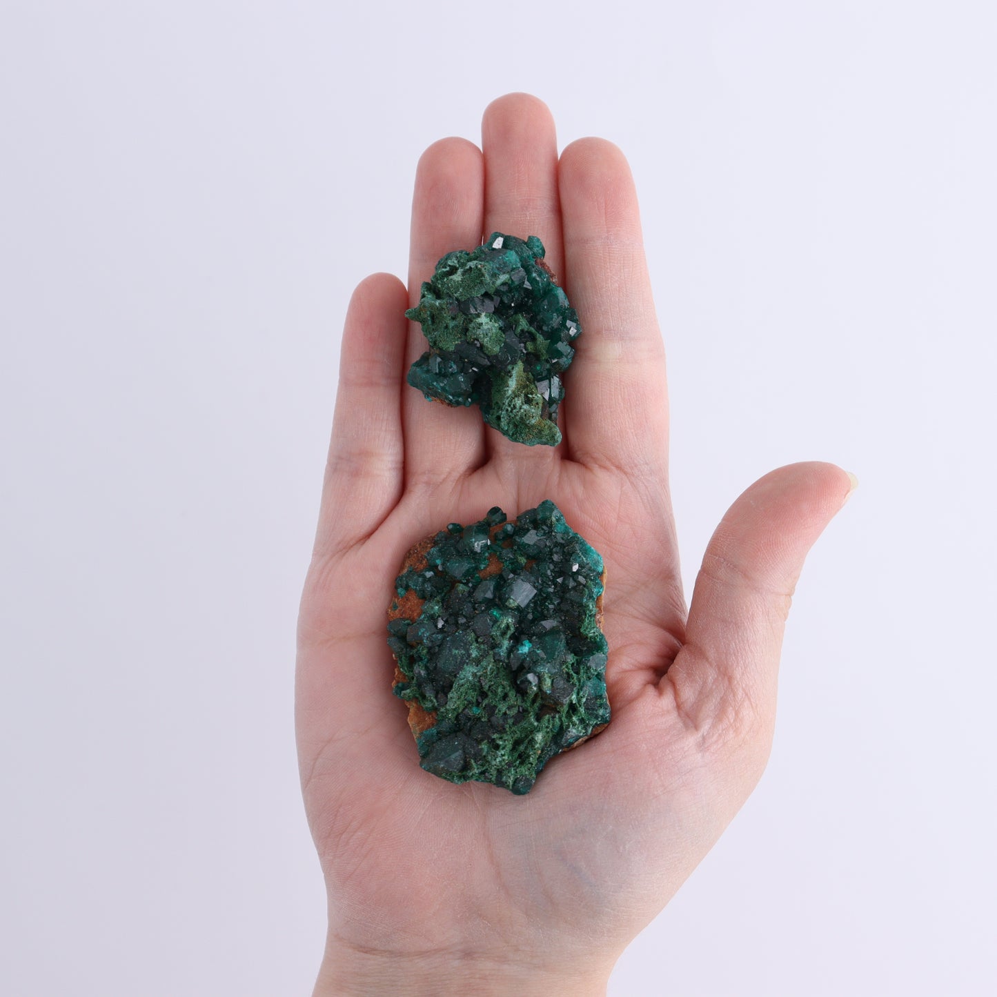 Dioptase Set of 12 - Expert Wholesale and Supplier of Wholesale Crystals & Bulk Gemstones, ["dioptase","Freeform","Freeforms"]