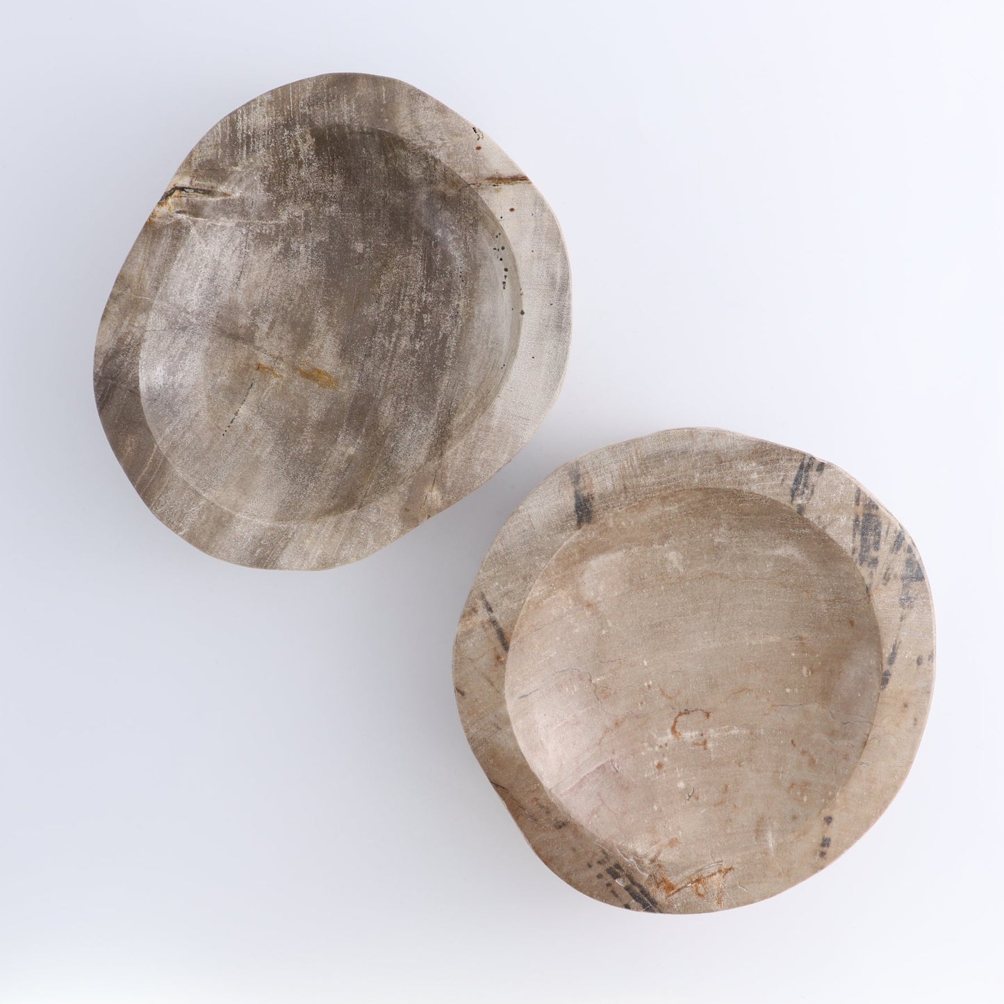 One Petrified Wood Beige Polished Bowl