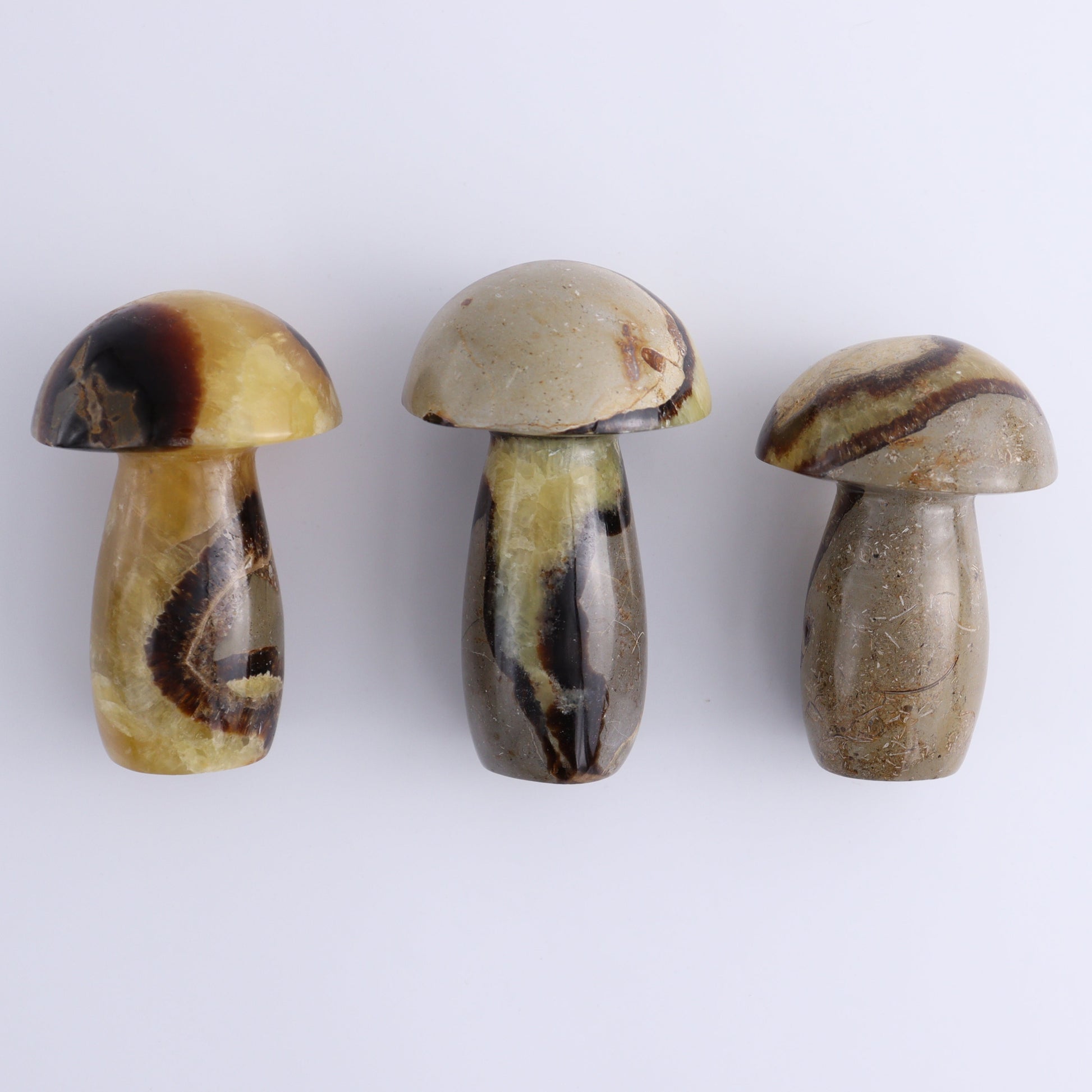 Septarian Mushrooms Set of 9 - Expert Wholesale and Supplier of Wholesale Crystals & Bulk Gemstones, ["Mushrooms","Septarian"]