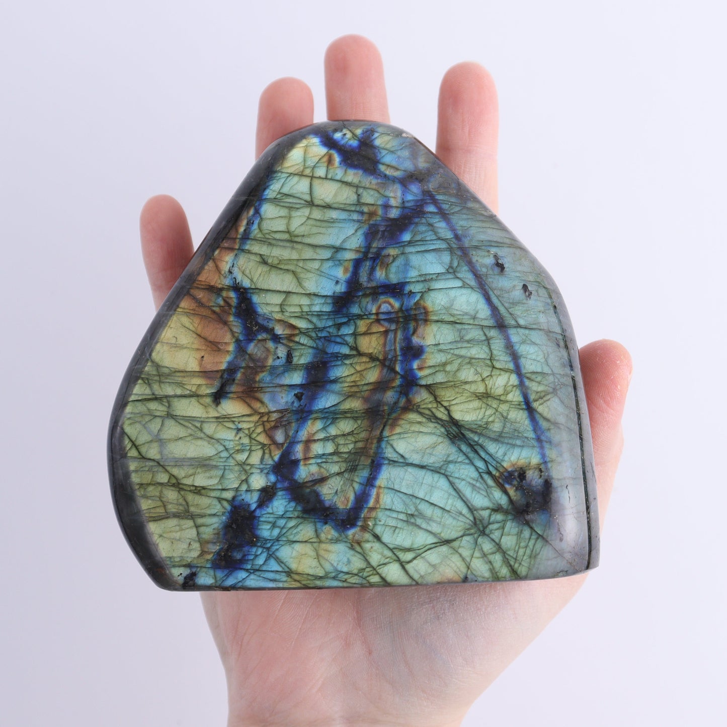 Labradorite Freeform Set of 6