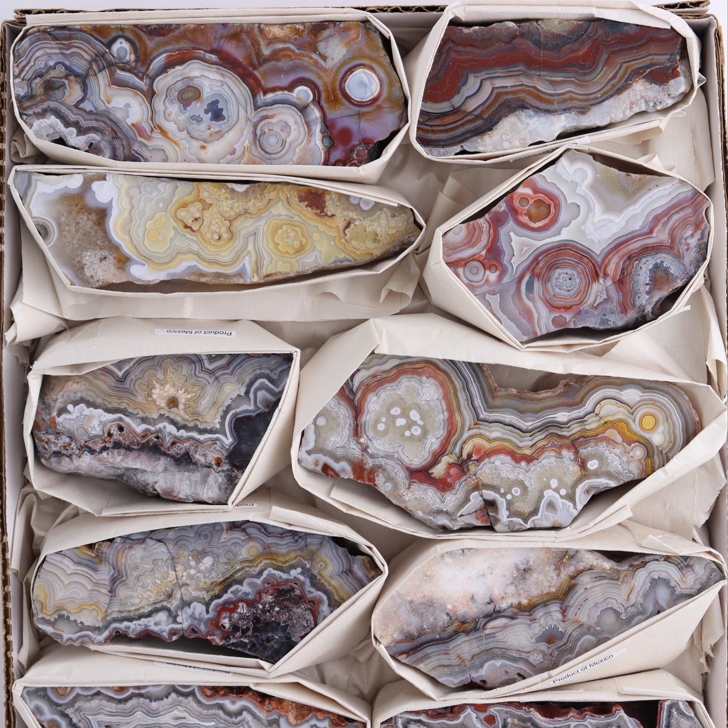 Crazy Lace Agate Flat of 12 - Expert Wholesale and Supplier of Wholesale Crystals & Bulk Gemstones, ["Crazy Lace Agate","Mexico"]