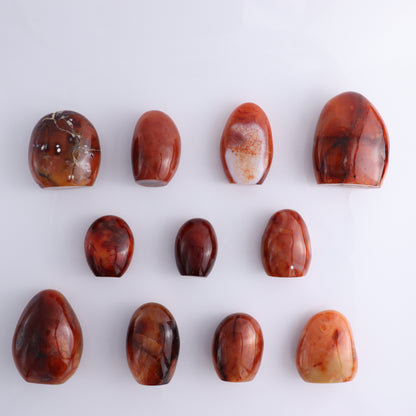Carnelian Freeform Set of 11 - Expert Wholesale and Supplier of Wholesale Crystals & Bulk Gemstones, ["carnelian","Freeforms","Madagascar"]