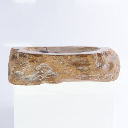 Petrified Wood Bowls Set of 2 - Expert Wholesale and Supplier of Wholesale Crystals & Bulk Gemstones, ["Bowls","Indonesia","Petrified Wood"]