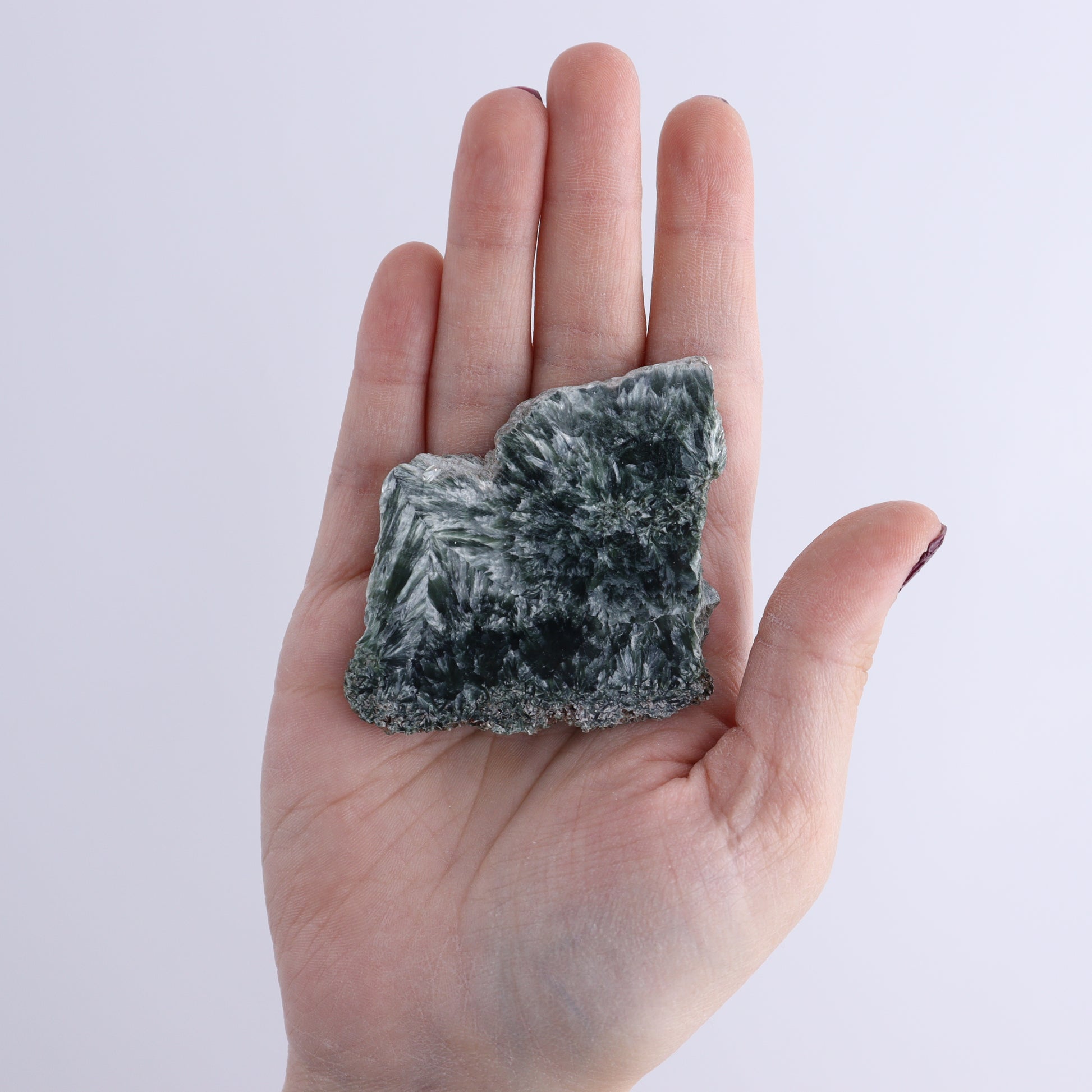 Seraphinite Slices Set of 12 - Expert Wholesale and Supplier of Wholesale Crystals & Bulk Gemstones, ["Seraphinite","Slices and Slabs"]