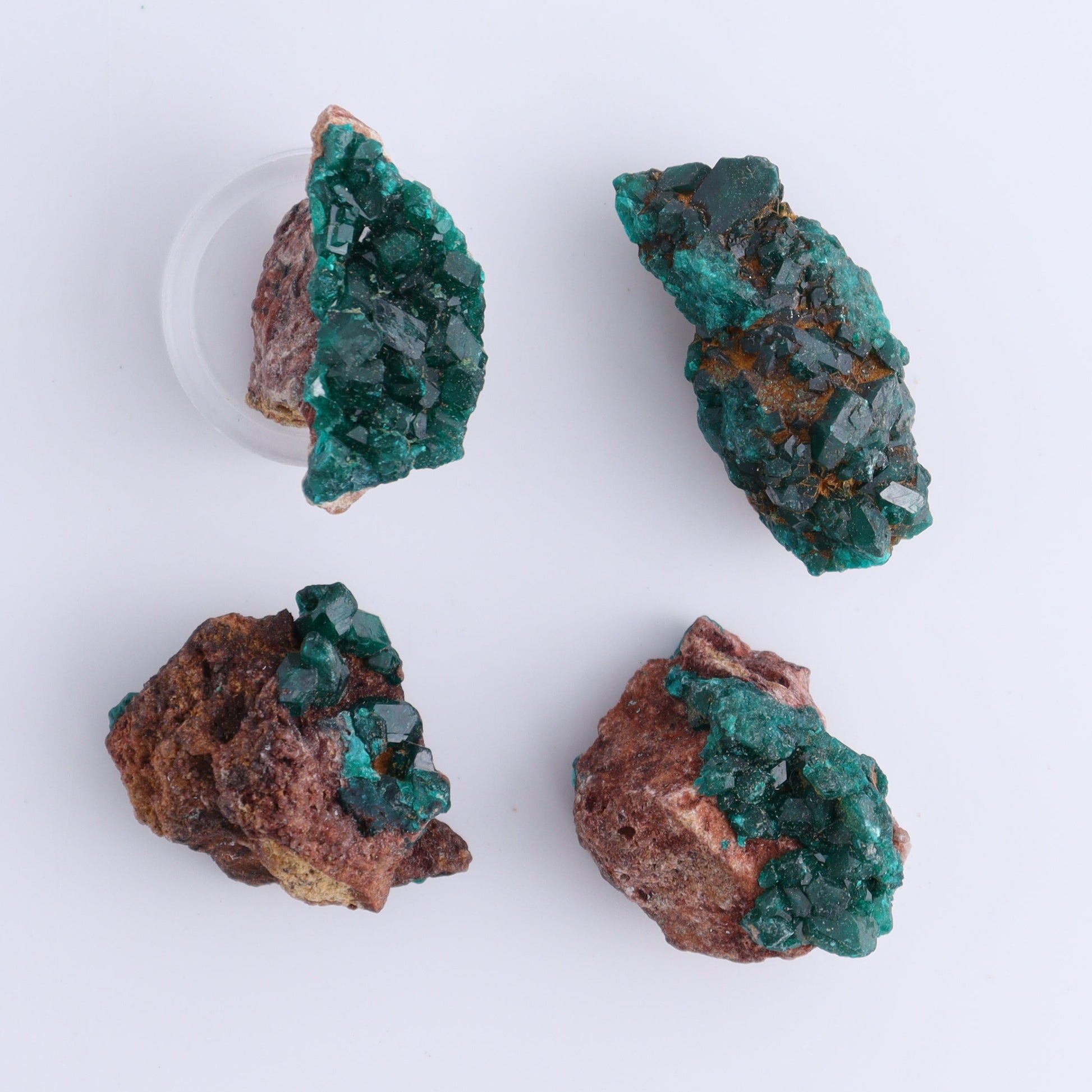 Dioptase Set of 12 - Expert Wholesale and Supplier of Wholesale Crystals & Bulk Gemstones, ["dioptase","Freeform","Freeforms"]