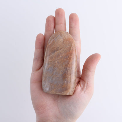 Peach Moonstone Freeform Set of 6