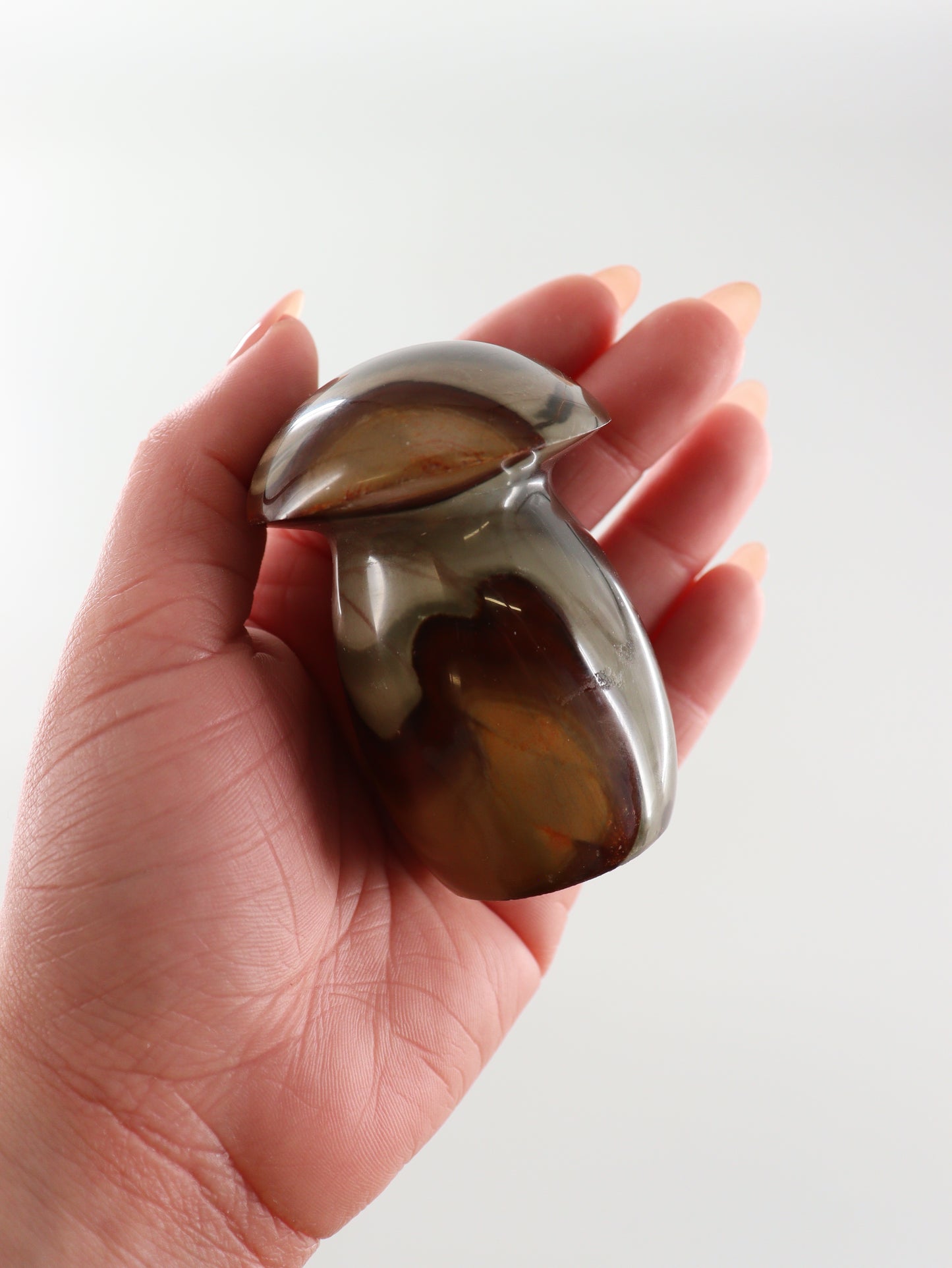 Polychrome Mushrooms Set of 6 - Expert Wholesale and Supplier of Wholesale Crystals & Bulk Gemstones, []