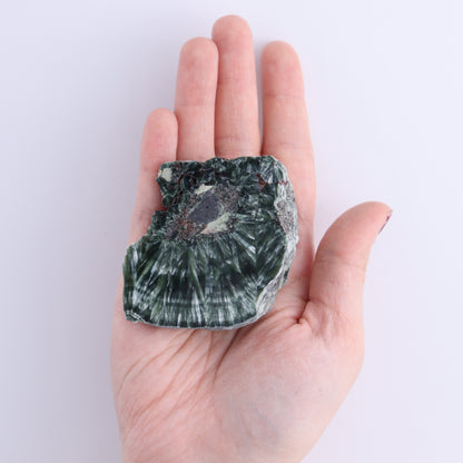 Seraphinite Slices Set of 6 - Expert Wholesale and Supplier of Wholesale Crystals & Bulk Gemstones, ["Russia","Seraphinite","Slices and Slabs"]