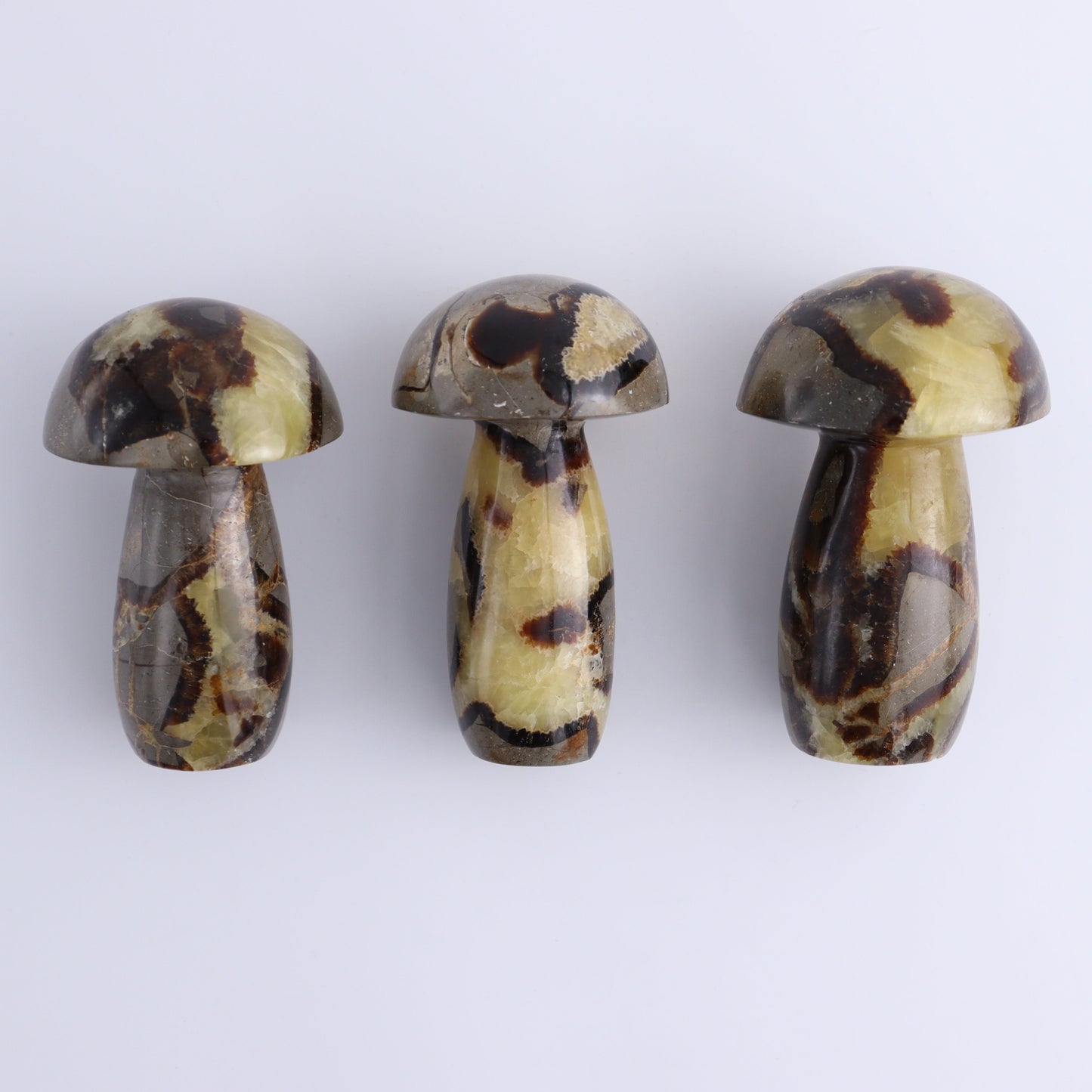 Septarian Mushrooms Set of 9 - Expert Wholesale and Supplier of Wholesale Crystals & Bulk Gemstones, ["Mushrooms","Septarian"]