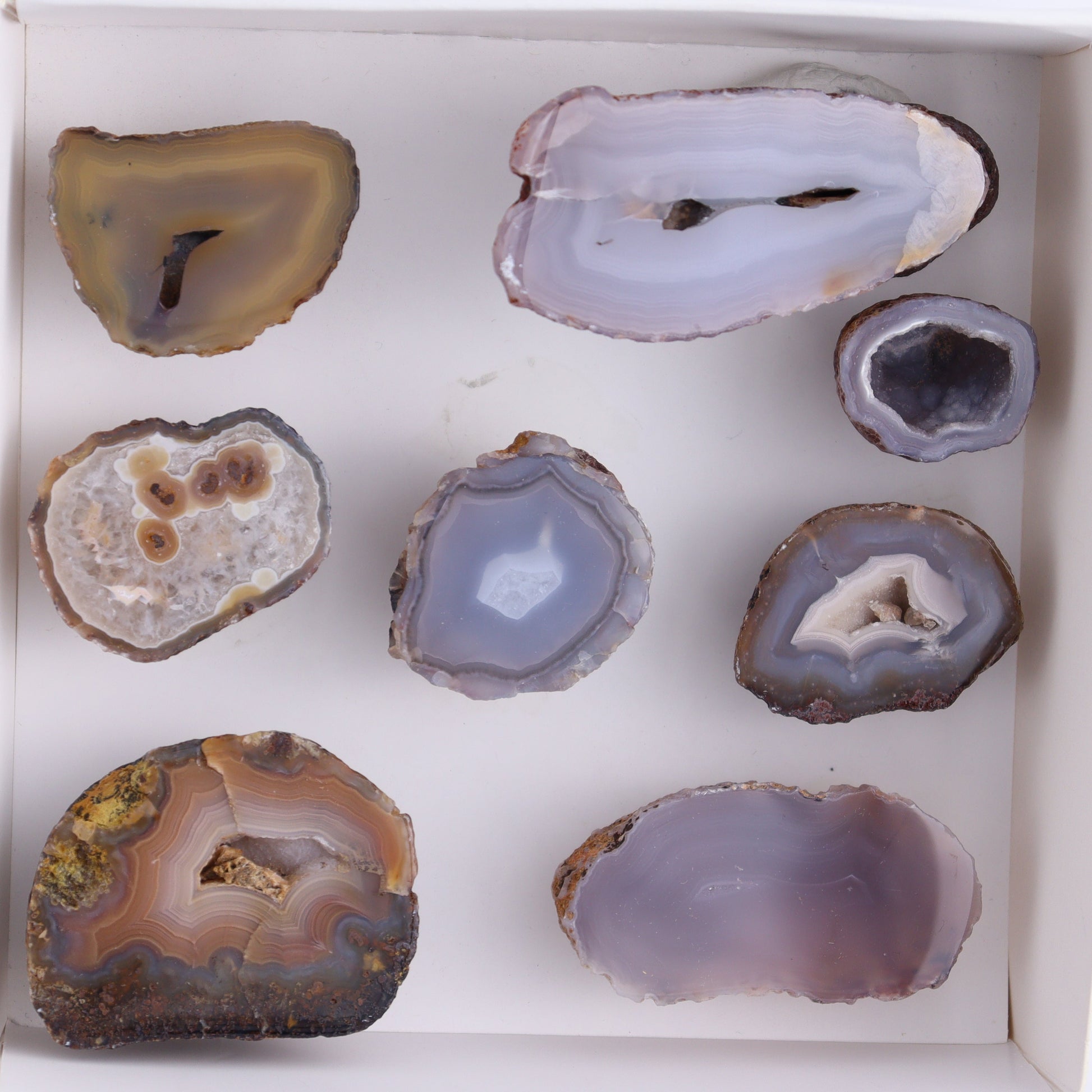 Coyamito Agate Geodes from Mexico Set of 8 - Expert Wholesale and Supplier of Wholesale Crystals & Bulk Gemstones, ["Agate","Coyamito Agate","Geodes","Mexico"]