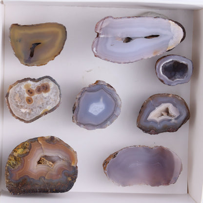 Coyamito Agate Geodes from Mexico Set of 8 - Expert Wholesale and Supplier of Wholesale Crystals & Bulk Gemstones, ["Agate","Coyamito Agate","Geodes","Mexico"]