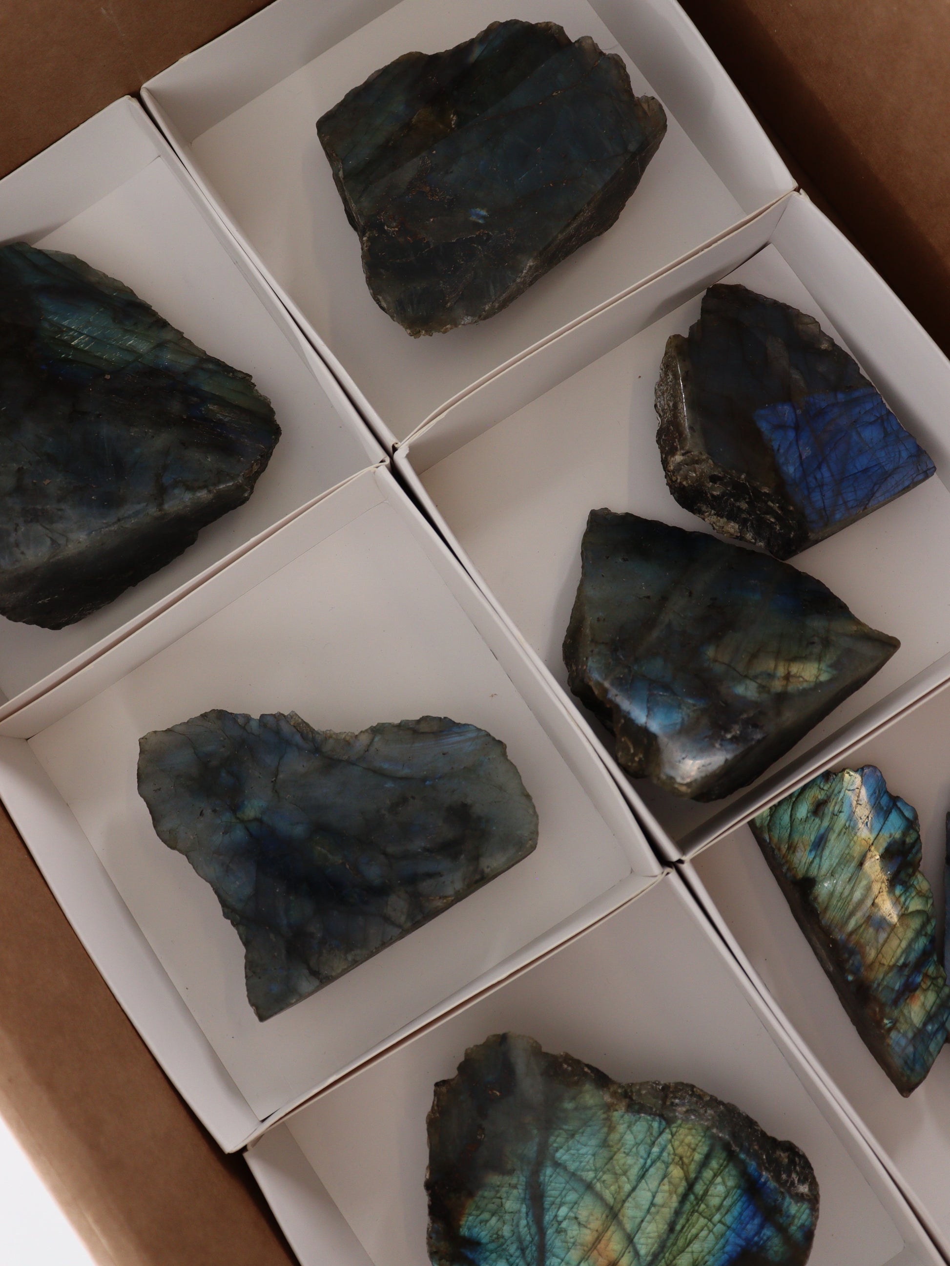 Labradorite Face Polished Flat - Expert Wholesale and Supplier of Wholesale Crystals & Bulk Gemstones, []