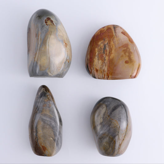 Polychrome Jasper Freeforms Set of 4 - Expert Wholesale and Supplier of Wholesale Crystals & Bulk Gemstones, ["jasper","Madagascar","Polychrome Jasper"]