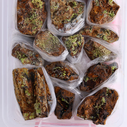Pyromorphite Flat from Morocco - Expert Wholesale and Supplier of Wholesale Crystals & Bulk Gemstones, ["Flats","Morocco","Pyromorphite"]