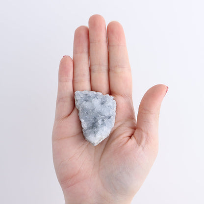 Celestite Clusters Set of 8