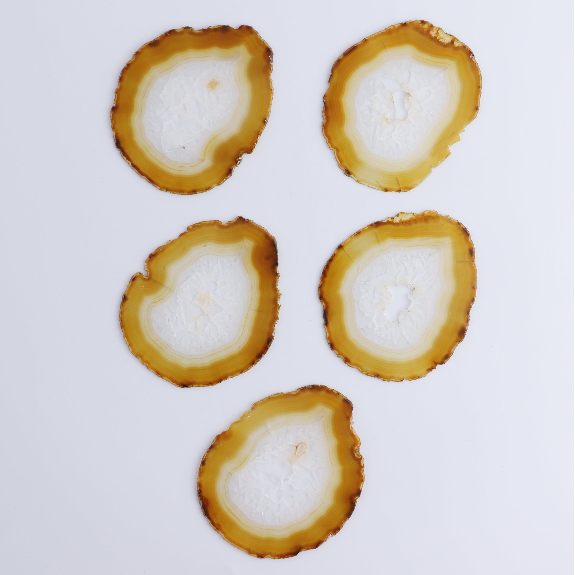 Iris Agate Slices Set of 5 - Expert Wholesale and Supplier of Wholesale Crystals & Bulk Gemstones, ["Agate","Iris Agate","Slices and Slabs"]