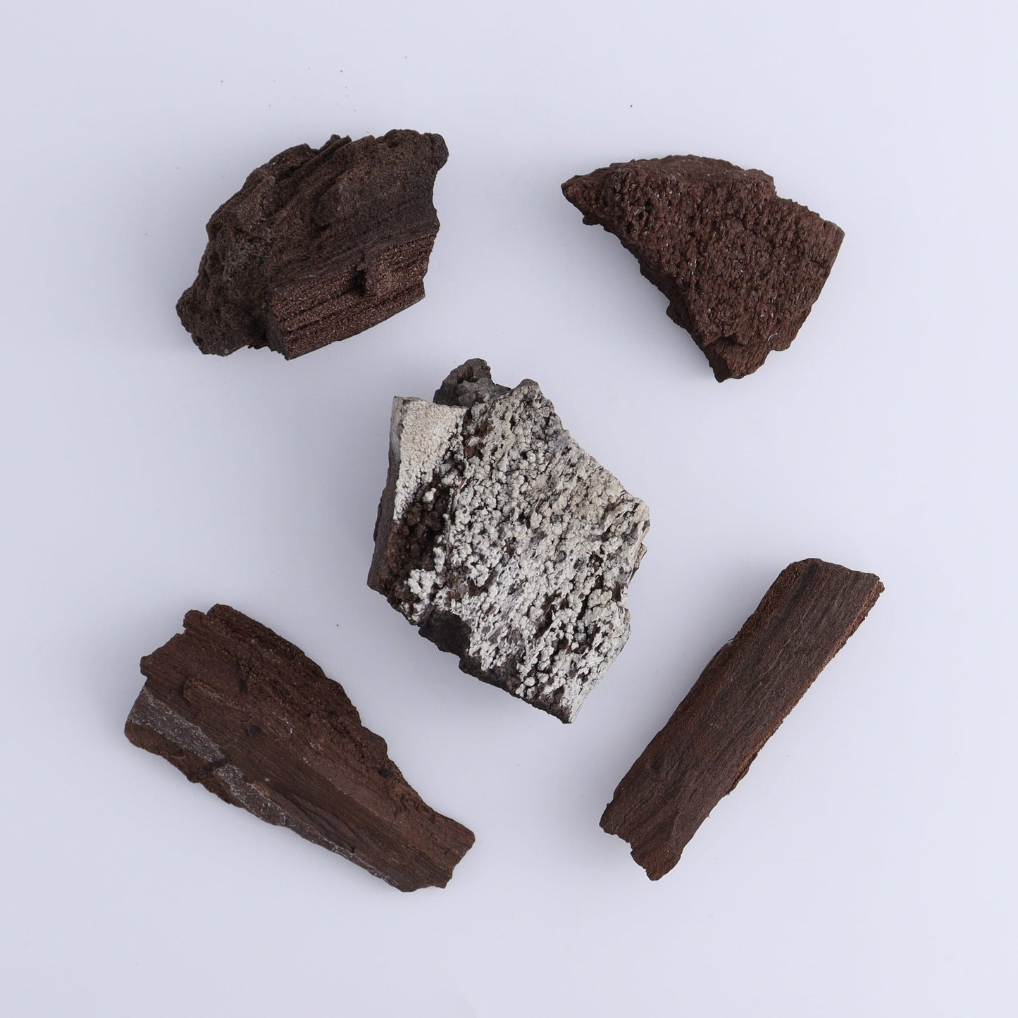 Permineralized Wood Flat of 24 - Expert Wholesale and Supplier of Wholesale Crystals & Bulk Gemstones, ["Flats","Germany","Permineralized Wood"]