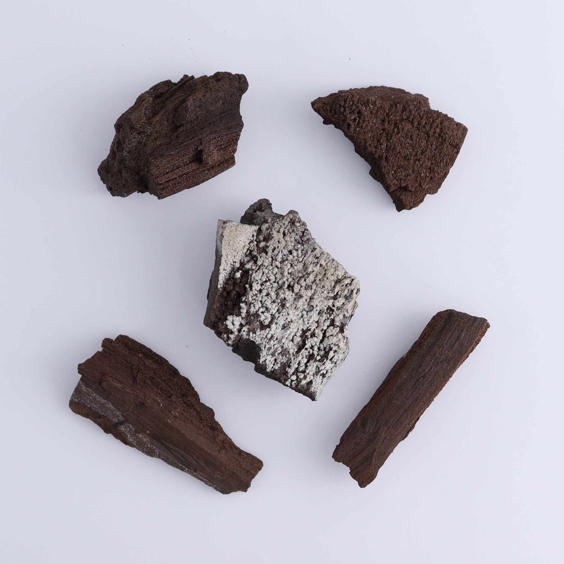 Permineralized Wood Flat of 24 - Expert Wholesale and Supplier of Wholesale Crystals & Bulk Gemstones, ["Flats","Germany","Permineralized Wood"]