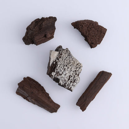 Permineralized Wood Flat of 24 - Expert Wholesale and Supplier of Wholesale Crystals & Bulk Gemstones, ["Flats","Germany","Permineralized Wood"]