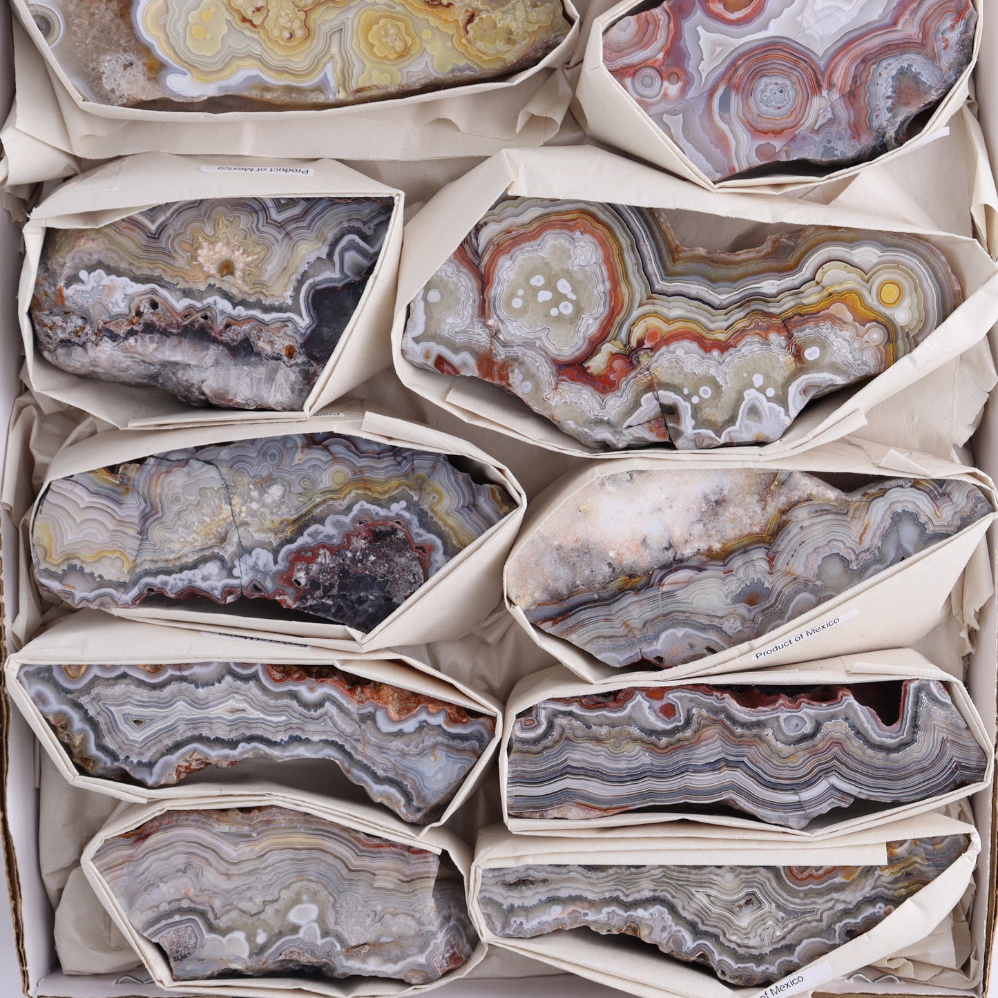 Crazy Lace Agate Flat of 12 - Expert Wholesale and Supplier of Wholesale Crystals & Bulk Gemstones, ["Crazy Lace Agate","Mexico"]