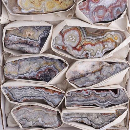 Crazy Lace Agate Flat of 12 - Expert Wholesale and Supplier of Wholesale Crystals & Bulk Gemstones, ["Crazy Lace Agate","Mexico"]