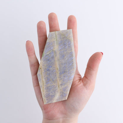 Moonstone Slices & Slabs Set of 7