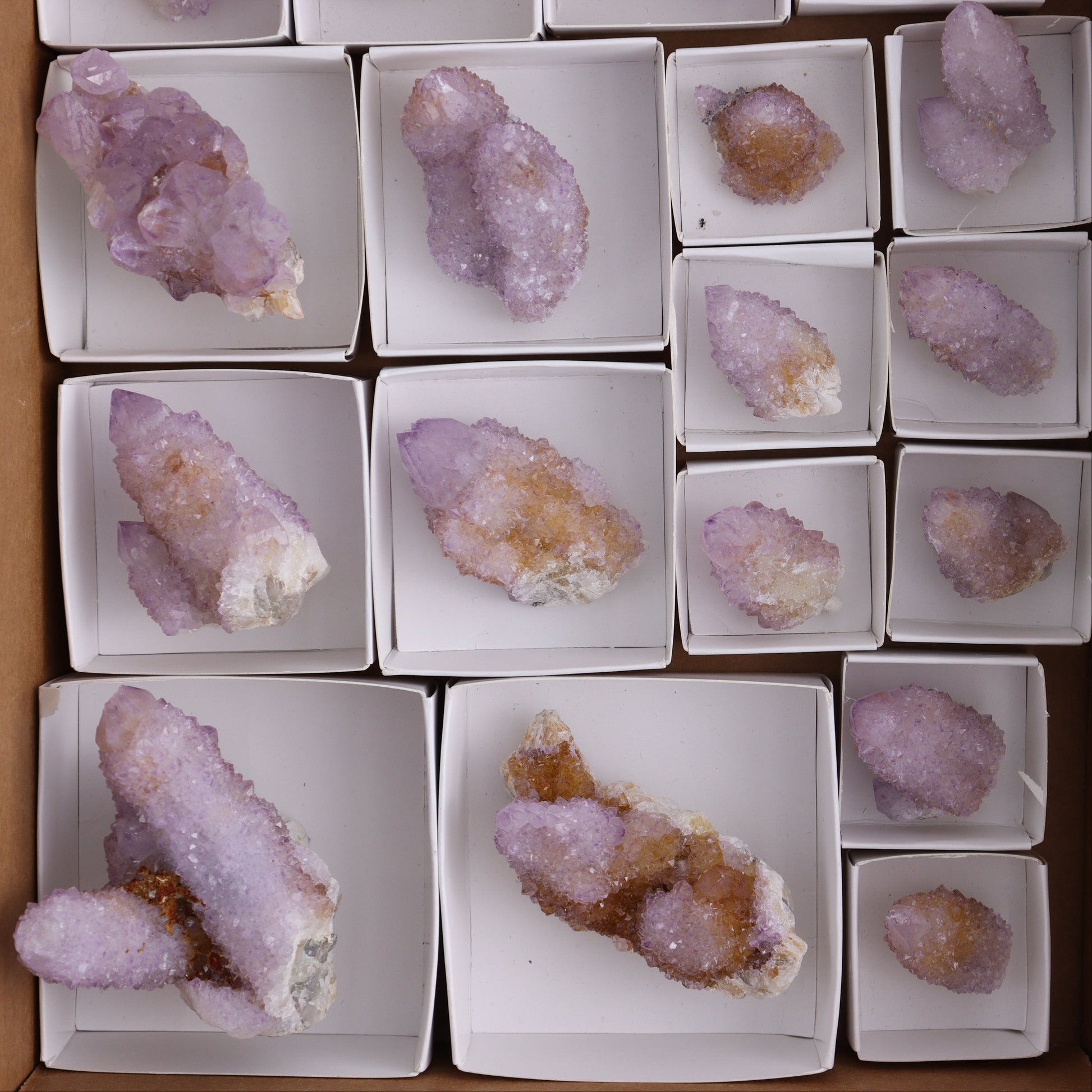 Cactus Quartz Set of 18 - Expert Wholesale and Supplier of Wholesale Crystals & Bulk Gemstones, ["cactus quartz","Quartz","South Africa"]