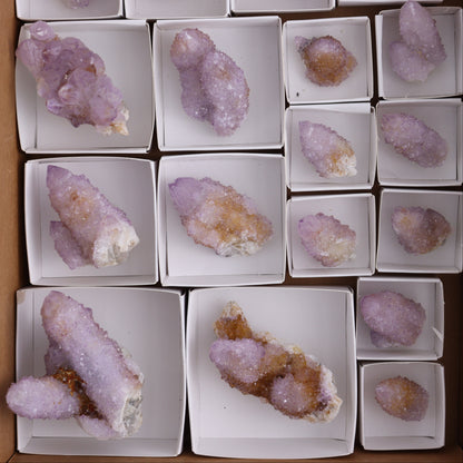 Cactus Quartz Set of 18 - Expert Wholesale and Supplier of Wholesale Crystals & Bulk Gemstones, ["cactus quartz","Quartz","South Africa"]