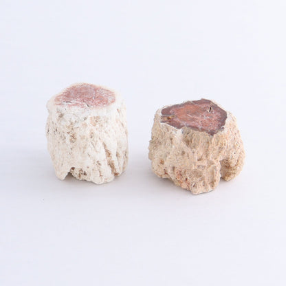 Petrified Wood Cut Bases Set of 10 - Expert Wholesale and Supplier of Wholesale Crystals & Bulk Gemstones, ["Cut Base","Petrified Wood"]