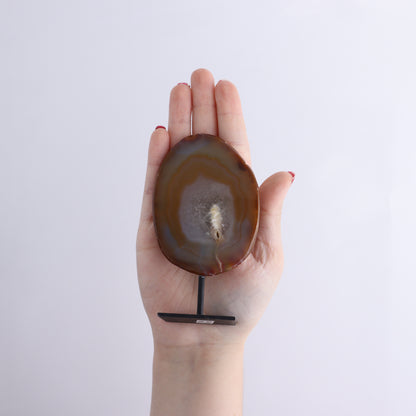 Agate on Pins Set of 4 - Expert Wholesale and Supplier of Wholesale Crystals & Bulk Gemstones, ["Agate","Brazil","On Pins"]