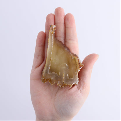 Agatized Coral Flat - Expert Wholesale and Supplier of Wholesale Crystals & Bulk Gemstones, ["Agate","Agatized Coral","Coral","United States"]