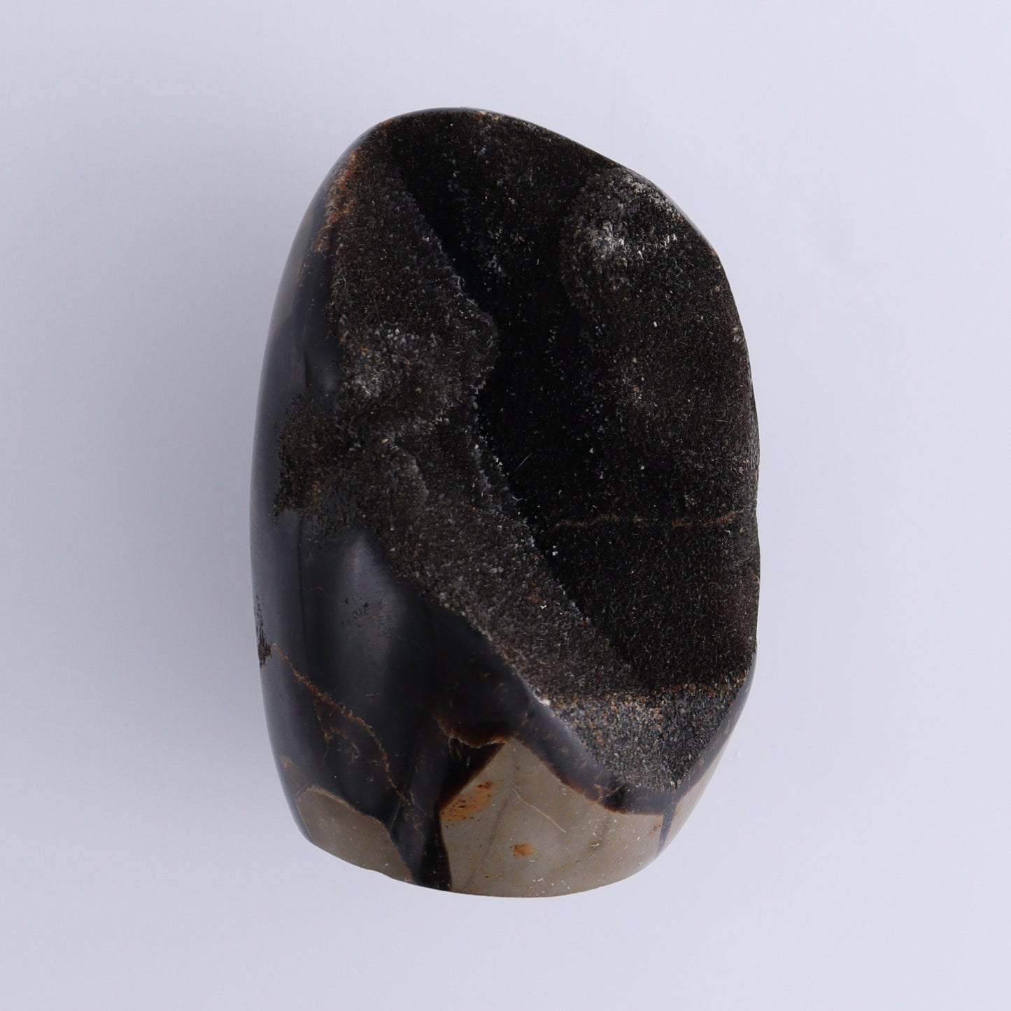 Septarian Cut Bases Set of 4 - Expert Wholesale and Supplier of Wholesale Crystals & Bulk Gemstones, ["Cut Base","Septarian"]