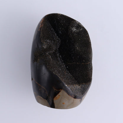 Septarian Cut Bases Set of 4 - Expert Wholesale and Supplier of Wholesale Crystals & Bulk Gemstones, ["Cut Base","Septarian"]