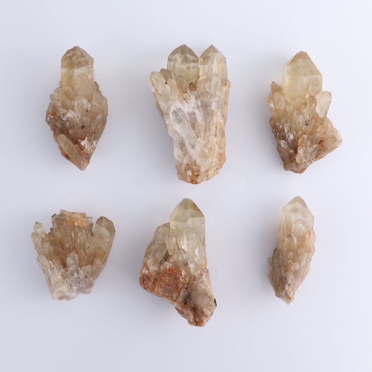 Congo Citrine Set of 12
