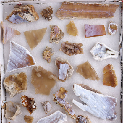 Agatized Coral Flat - Expert Wholesale and Supplier of Wholesale Crystals & Bulk Gemstones, ["Agate","Agatized Coral","Coral","United States"]