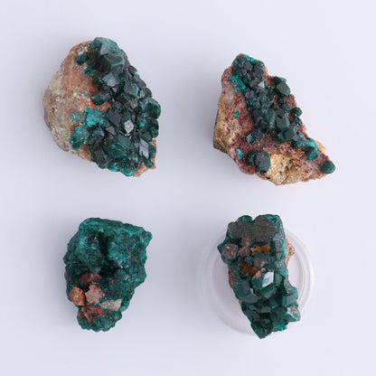 Dioptase Set of 12 - Expert Wholesale and Supplier of Wholesale Crystals & Bulk Gemstones, ["dioptase","Freeform","Freeforms"]