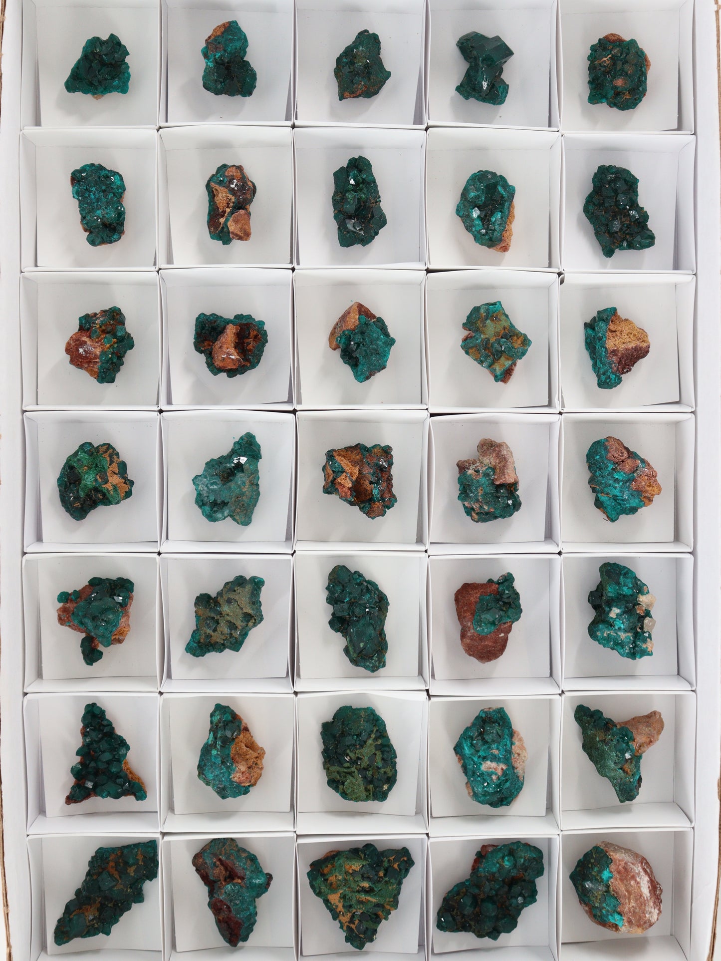 Dioptase Flat - Expert Wholesale and Supplier of Wholesale Crystals & Bulk Gemstones, []