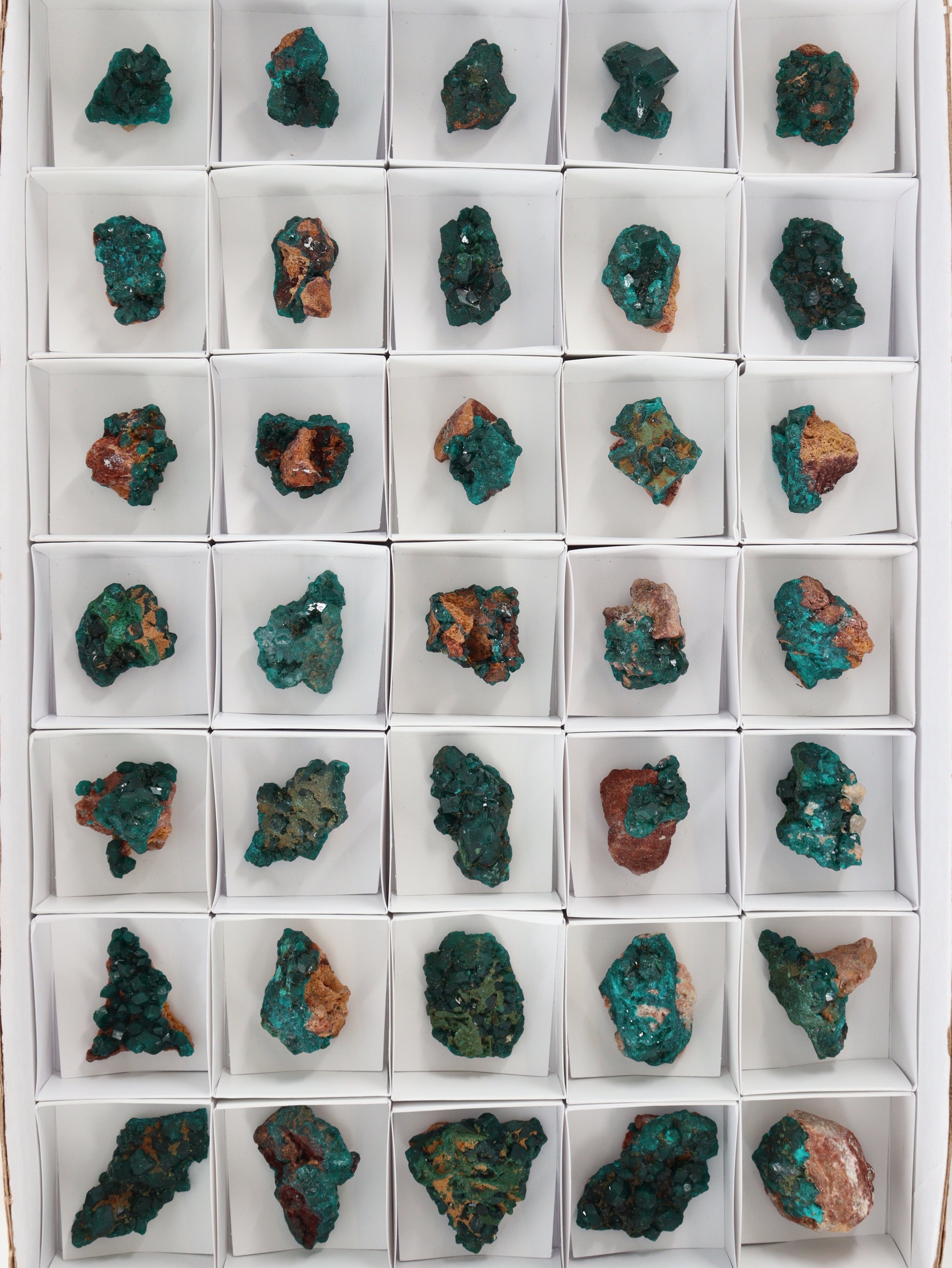 Dioptase Flat - Expert Wholesale and Supplier of Wholesale Crystals & Bulk Gemstones, []