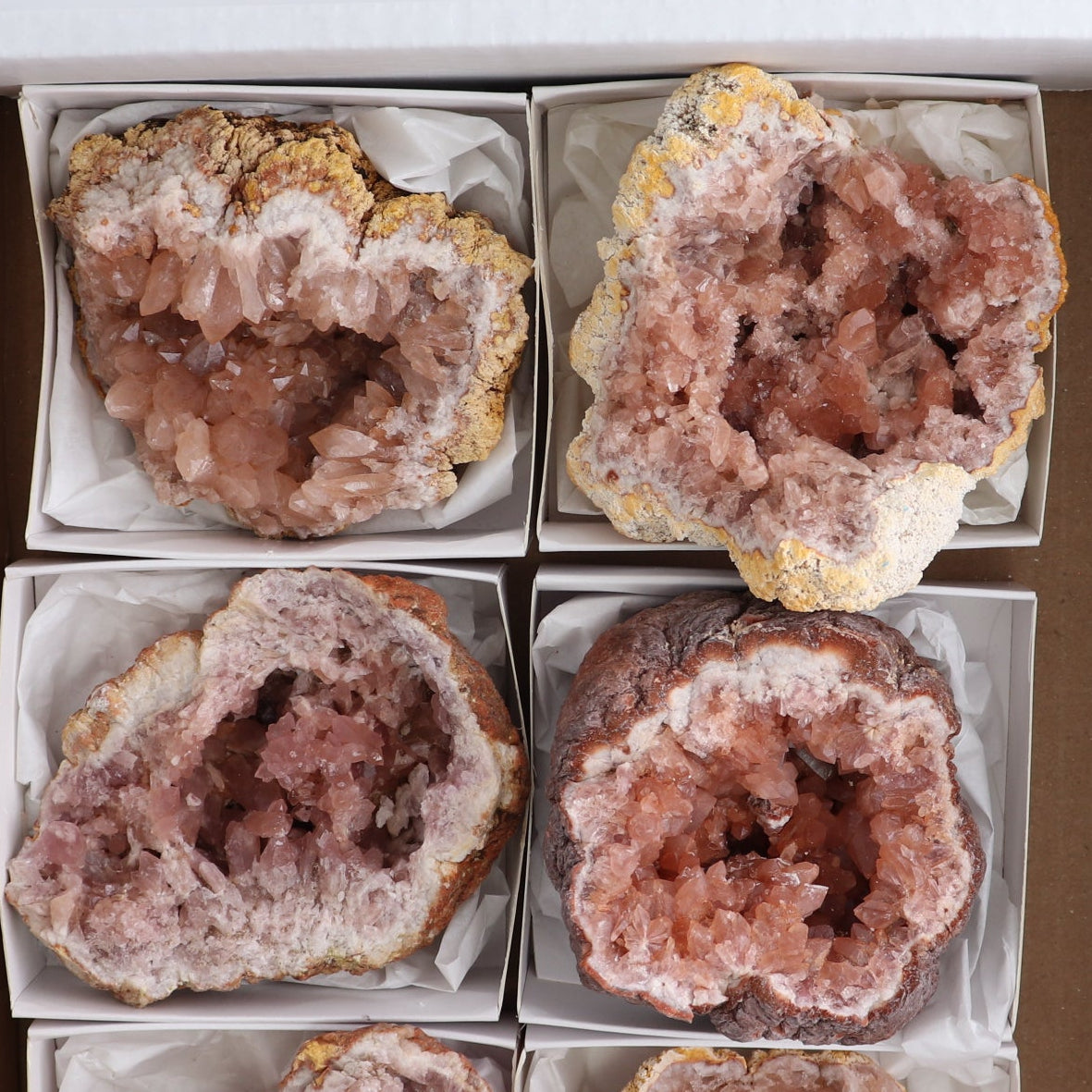 Pink Amethyst Geodes Set of 6